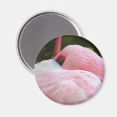 Flamingo Magneet (Voorkant / Achterkant)