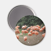 Flamingo Magneet (Voorkant / Achterkant)
