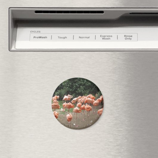 Flamingo Magneet (Insitu (Vaatwasser))