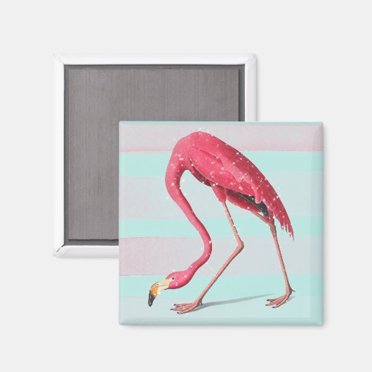 Flamingo Magneet (Voorkant / Achterkant)