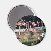 Flamingo Magnet (Voorkant / Achterkant)