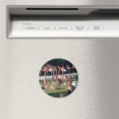 Flamingo Magnet (Insitu (Vaatwasser))