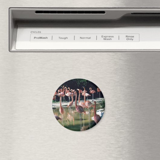 Flamingo Magnet (Insitu (Vaatwasser))