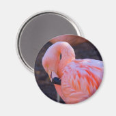 Flamingo Magnet (Voorkant / Achterkant)