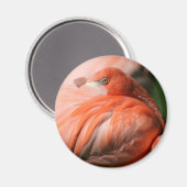 Flamingo Magnet (Voorkant / Achterkant)