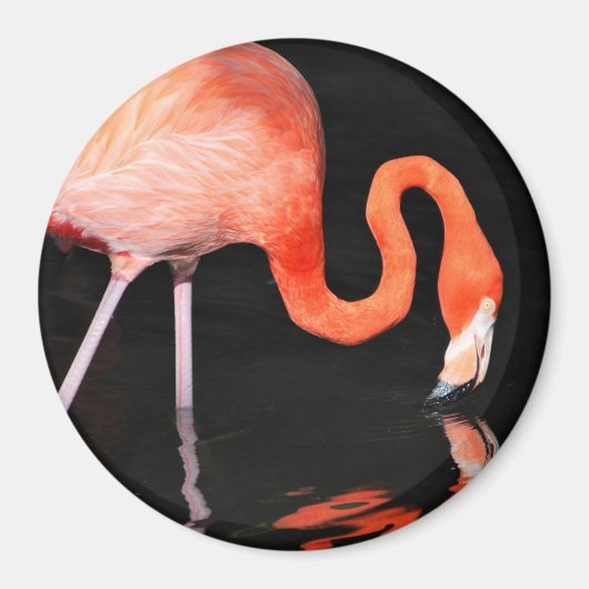 Flamingo Magnet (Voorkant)