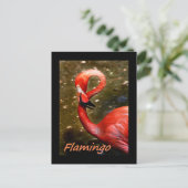 Flamingo met "flamingo" roze tekst briefkaart (Staand voorkant)
