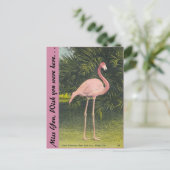 Flamingo, Miami, Florida Briefkaart (Staand voorkant)