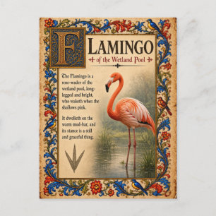 Flamingo, Middeleeuwse Bestiarium Kunst Briefkaart