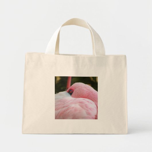Flamingo Mini Tote Bag (Voorkant)