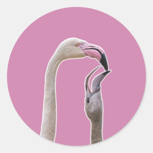Flamingo Moeder en Baby Ronde Sticker (Voorkant)