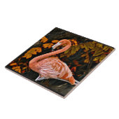 Flamingo, mooie walsvogel tegeltje (Zijkant)