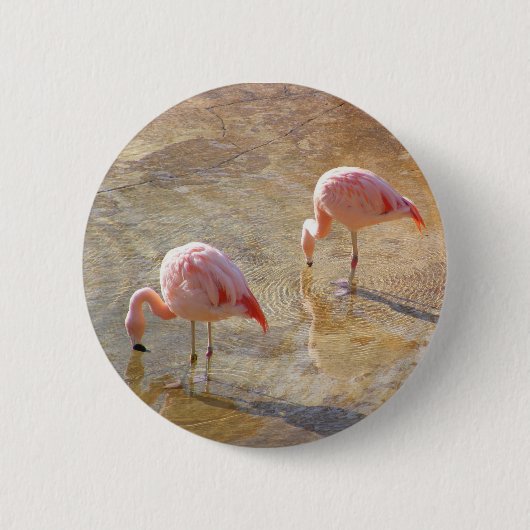 Flamingo Morning Ronde Button 5,7 Cm (Voorkant)