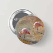 Flamingo Morning Ronde Button 5,7 Cm (Voorkant /achterkant)