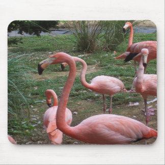 Flamingo Mousepad Muismat