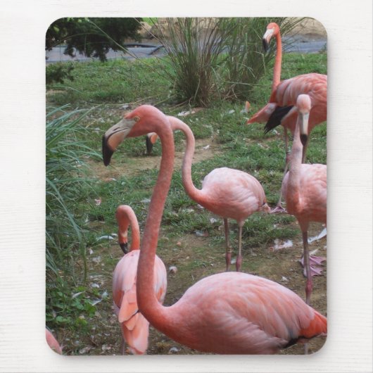 Flamingo Mousepad Muismat (Voorkant)