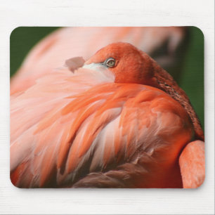 Flamingo Mousepad Muismat