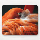 Flamingo Muismat (Voorkant)