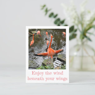 Flamingo   Nationale luchtvaartnavigatiedienst Briefkaart