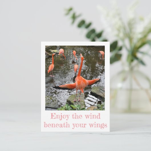 Flamingo | Nationale luchtvaartnavigatiedienst Briefkaart (Staand voorkant)