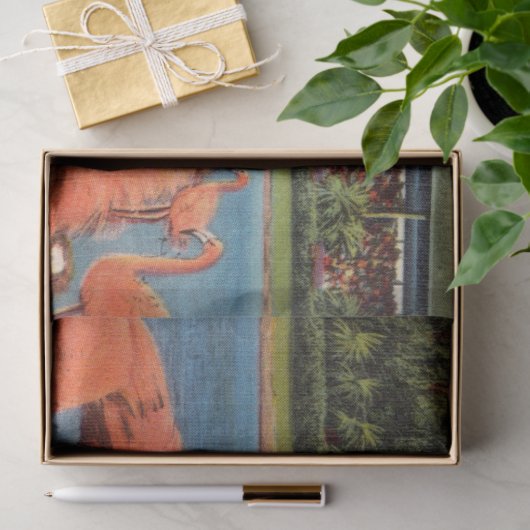 Flamingo Nest-instelling in Miami FL Tissuepapier (Geschenk)