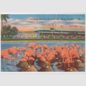 Flamingo Nest-instelling in Miami FL Tissuepapier (Voorkant)