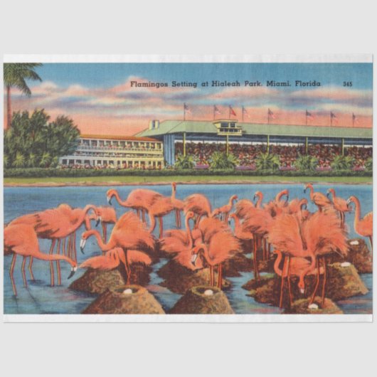 Flamingo Nest-instelling in Miami FL Tissuepapier (Voorkant)