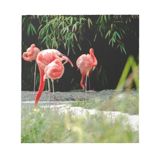 flamingo notitieblok (Voorkant)