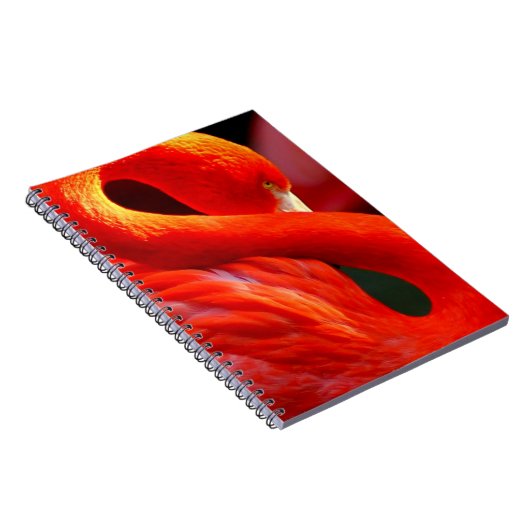 Flamingo Notitieboek (Rechterzijde)