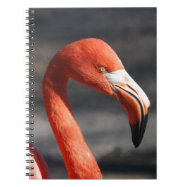 Flamingo Notitieboek