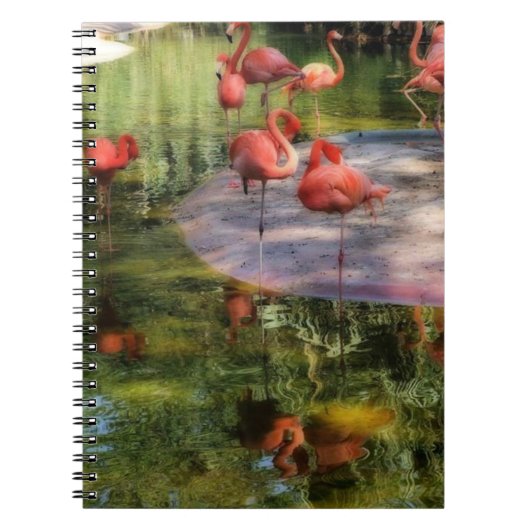Flamingo Notitieboek (Voorkant)