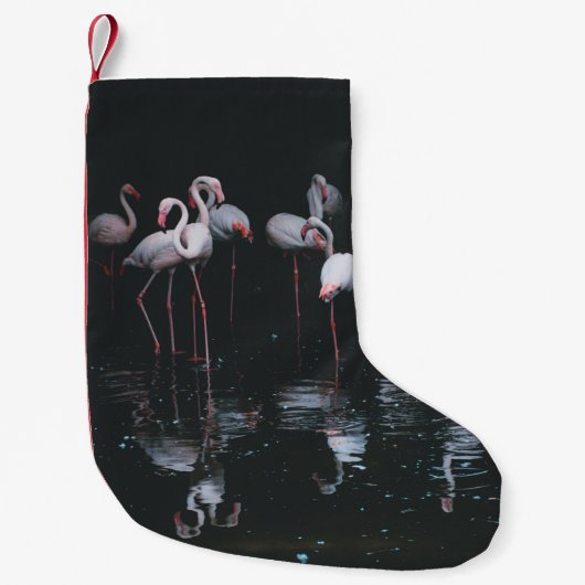 FLAMINGO ON DARK BACKGROUND KLEINE KERSTSOK (Voorkant)