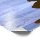 Flamingo on one leg in water foto afdruk (Hoek)