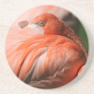 Flamingo Onderzetter