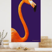 Flamingo op blauw poster (Keuken)