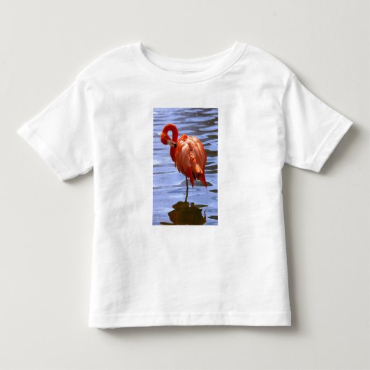 Flamingo op één been in het water kinder shirts (Voorkant)