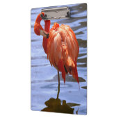 Flamingo op één been in het water klembord (Links)