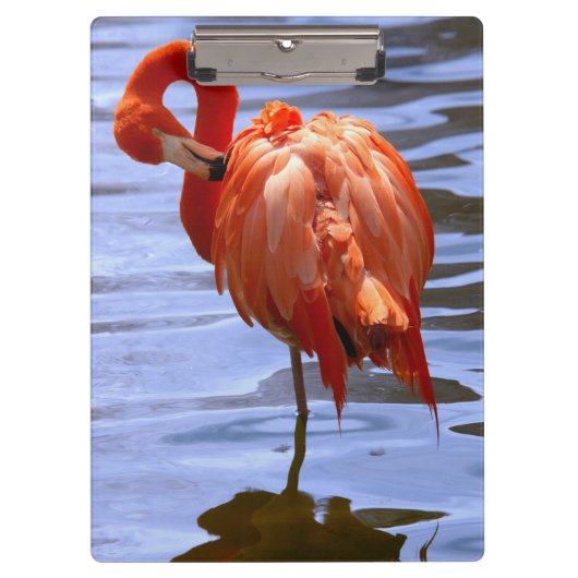 Flamingo op één been in het water klembord (Voorkant)