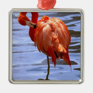 Flamingo op één been in het water metalen ornament