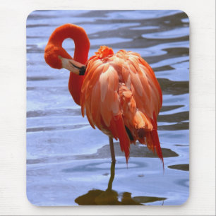 Flamingo op één been in het water muismat