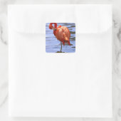 Flamingo op één been in het water vierkante sticker (Tas)