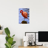 Flamingo op één been in water poster (Thuiskantoor)