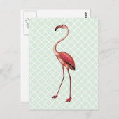  Flamingo op Mint Quatrefoil Briefkaart (Voorkant / Achterkant)