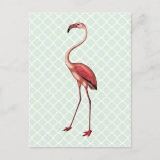  Flamingo op Mint Quatrefoil Briefkaart