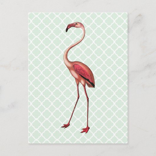  Flamingo op Mint Quatrefoil Briefkaart (Voorkant)