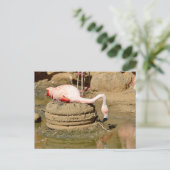 Flamingo op zijn nest feestdagenkaart (Staand voorkant)