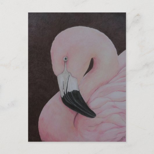 Flamingo Original Bird Art Briefkaart (Voorkant)