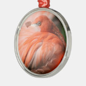 Flamingo Ornament (Links)