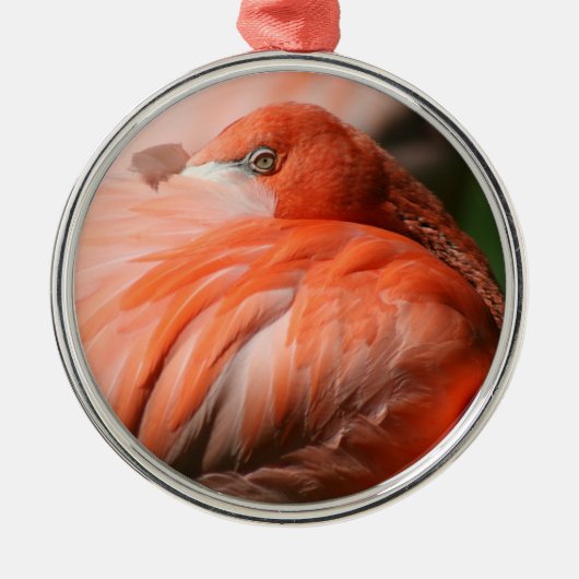 Flamingo Ornament (Voorkant)