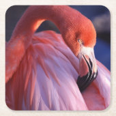 Flamingo Papieren Onderzetters (Voorkant)